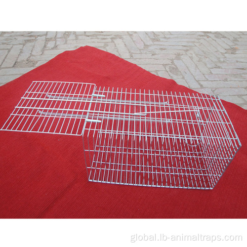 Small Animal Trap Cage Rodent Rat Trap mouse trap cage for house Factory